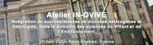 Logo IN-OVIVE